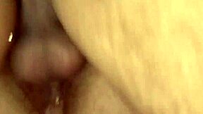 Gej gorile dobijaju grubo bareback jebanje guze sa intenzivnim ejakulacijama