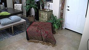 Ziggy Star za kulisami