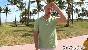 Hej, kolla in dessa gay björn porrscener