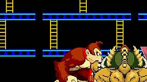 嘿，库巴和金刚，准备繁殖马里奥？