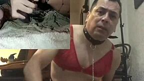 Zwei Oktopus-Dildos auf Dual-Cams für Thrills testen