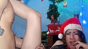 Realfemboy Aktualizacja 71 25 stycznia 2025