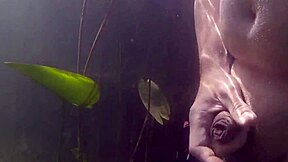 水下乐趣：Gay 男在山湖里撸包皮