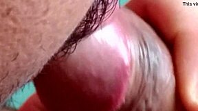 Lovely blowjob action right here!