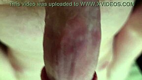 Fucking a teddy bear 🧸