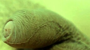 Young European twink Bastian Karim's solo performance with bareback cock tugging