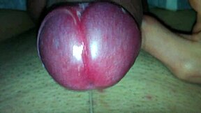 Curious Twink Explores His Penis in Homemade Clip