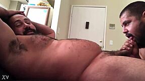 Ursinho’s tasty cock gets sucked by cub, growling with pure pleasure