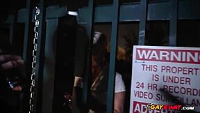 hey officers, loving that kinky BBC suck outdoors?