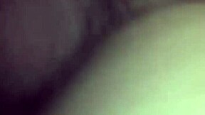 Gay amateur twinks get rough with blowjobs and anal action.