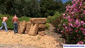 Muscled Straight Ranch Hands Bang on Hay Bale