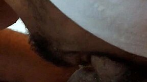 epic blowjob session down in porto alegre