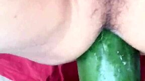 so crazy for cucumbers up my ass, hardcore toy play! 🍆