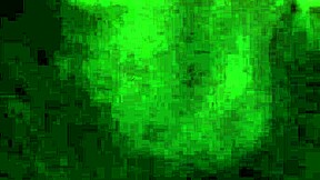 i am shawn, exploring amateur hobbies