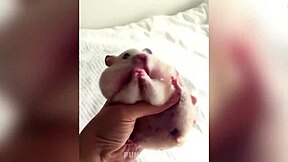 sexy man gives blowjob to big monster cock