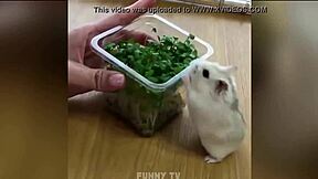 sexy man gives blowjob to big monster cock