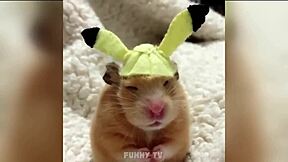 sexy man gives blowjob to big monster cock