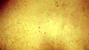 Hey, check out this bareback breeding session with ass play! 😈💦