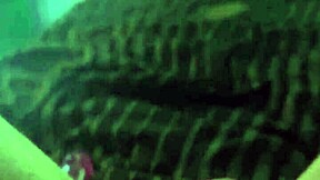 This is my second verification video to confirm everything works fine on the platform