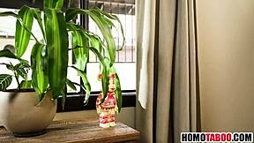 Step brothers fuck hard and nearly get caught