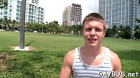 straight bears compete sucking big cocks bareback