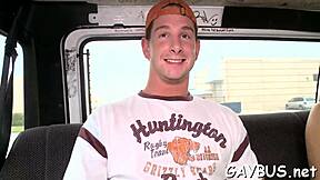 Young Bear Tempted by Huge Black Cock for Rough Suck and Fuck!