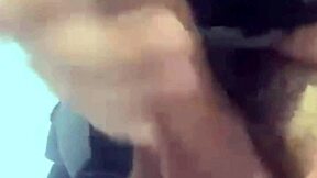 O Mel Do Jeguinho