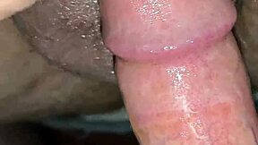 arabgaysex update fifty five released in june
