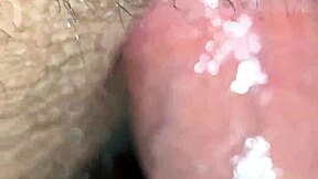 arabgaysex update fifty five released in june