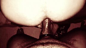 submit to an arab cock volume two tonight