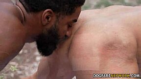 Jocks noirs randonneurs baisent fort dans la forêt