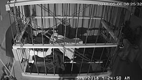 见过这样的无套笼子镜头吗？